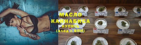сатива Аркадак