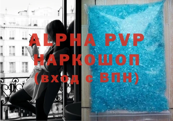 сатива Аркадак