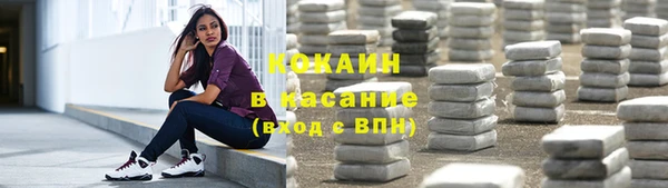сатива Аркадак