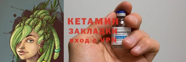 сатива Аркадак